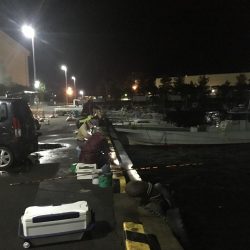 朝のサビキ釣り